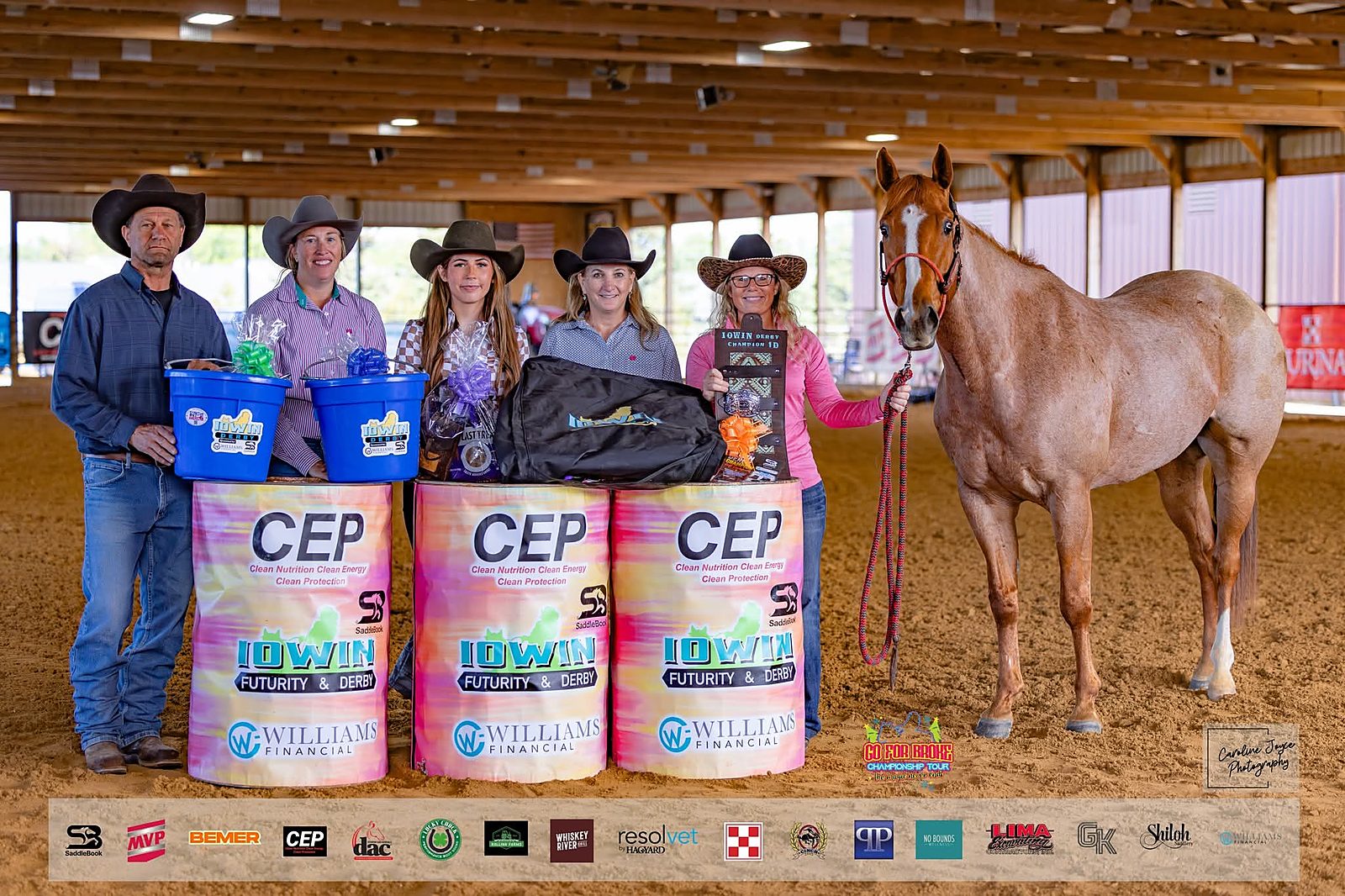 2D Adult Champions